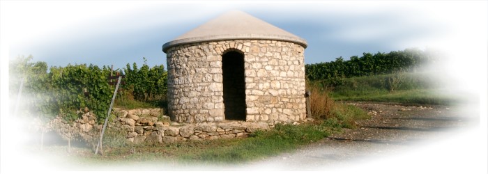 Die Gundersheimer Weinberge Die Gundersheimer Weinberge